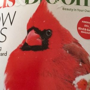 Meet your Posher, Holly